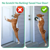 Daytech Dog Door Bell Smart Doggy Doorbell for Potty Training Go Outside/Housebreaking 4 Waterproof Touch Buttons 1 Number Display Receivers